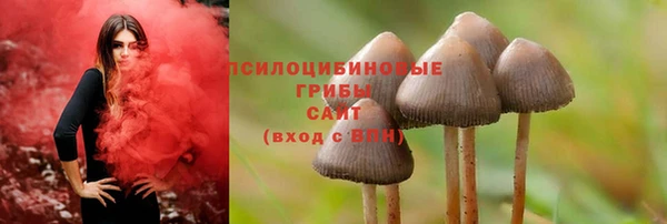 спиды Аркадак