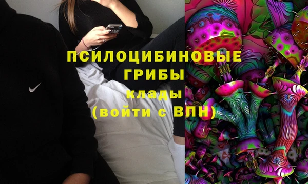 спиды Аркадак